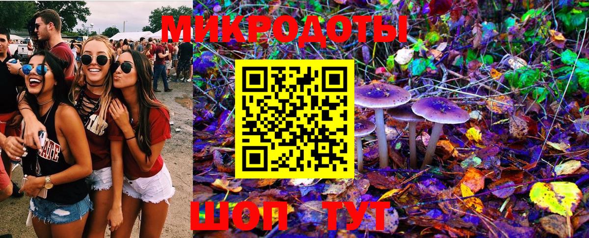 Псилоцибиновые грибы мицелий  Вход с VPN  Шебекино 