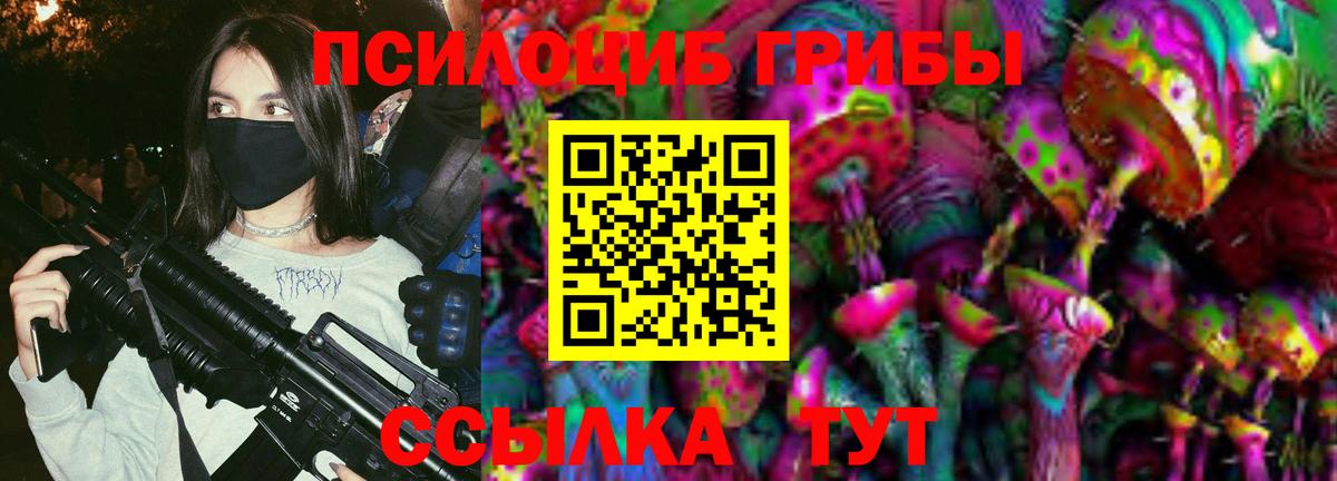 Псилоцибиновые грибы Cubensis Шебекино