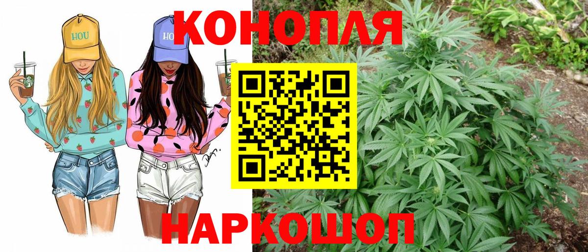 Конопля план Шебекино